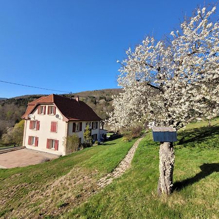 Vila Domaine De La Charriere Sur 63 Ares - 8 Pers Grand Confort Neuviller Exteriér fotografie