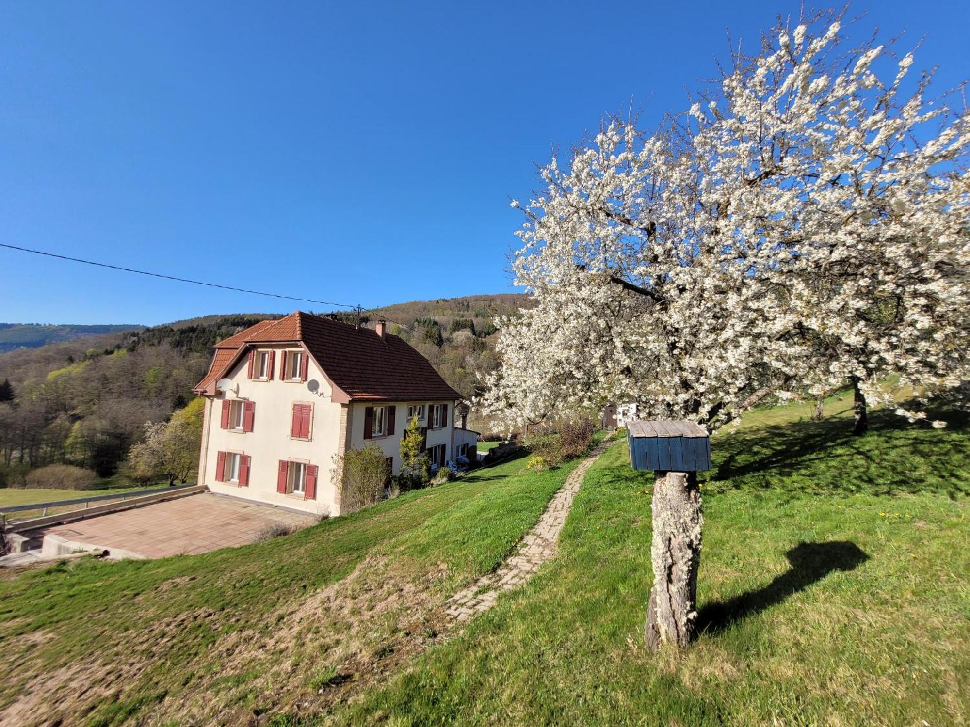 Vila Domaine De La Charriere Sur 63 Ares - 8 Pers Grand Confort Neuviller Exteriér fotografie